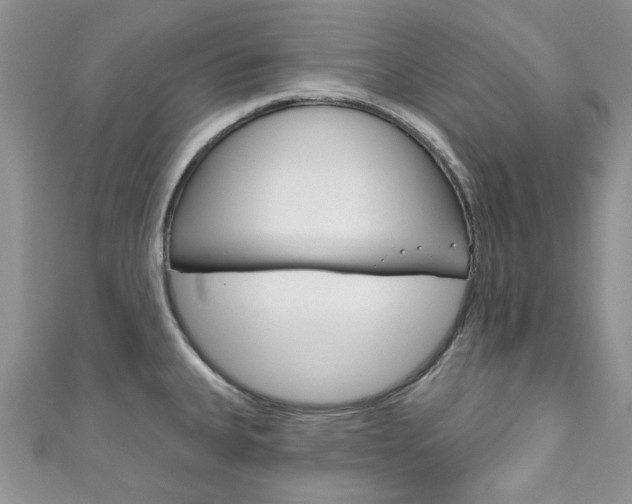 X0000111201335200907011022