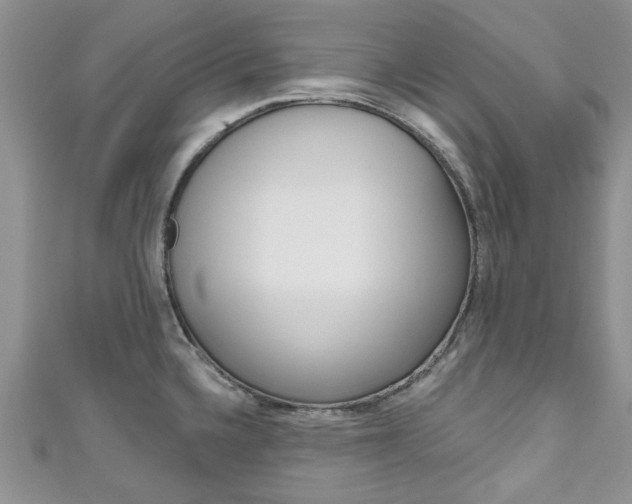 X0000111201336200907011022