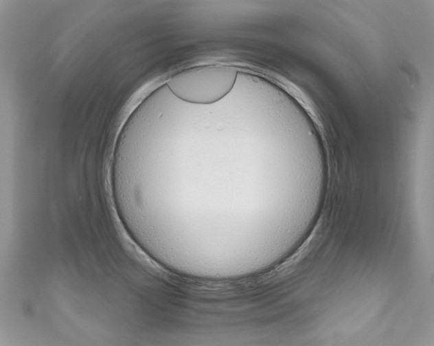 X0000111201338200907011022