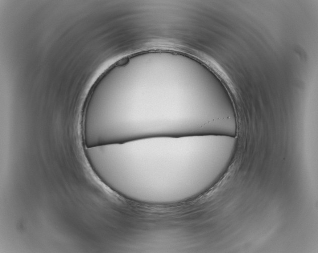 X0000111201339200907011022