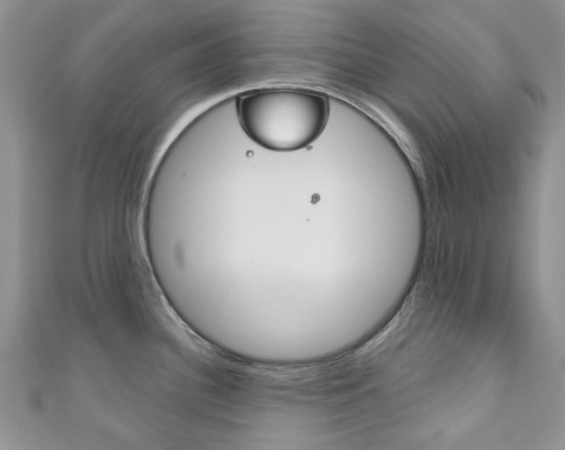 X0000111201340200907011022