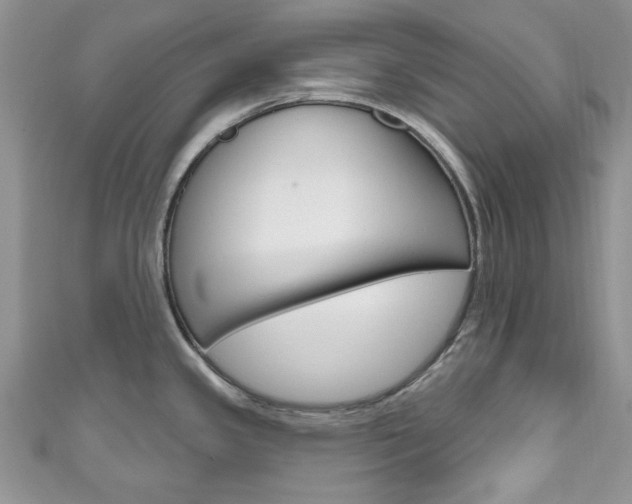 X0000111201341200907011022
