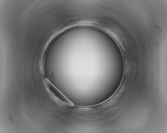 X0000111201342200907011022
