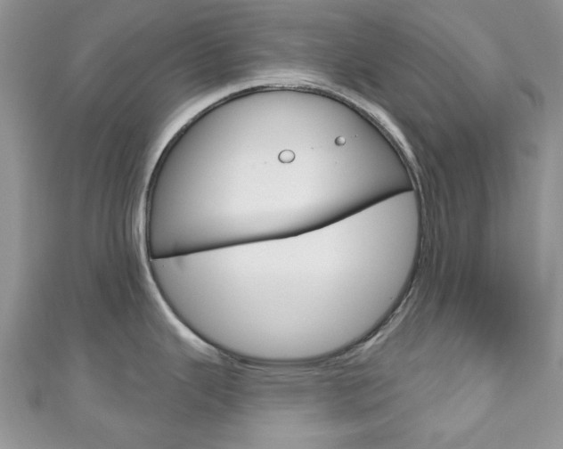 X0000111201343200907011022