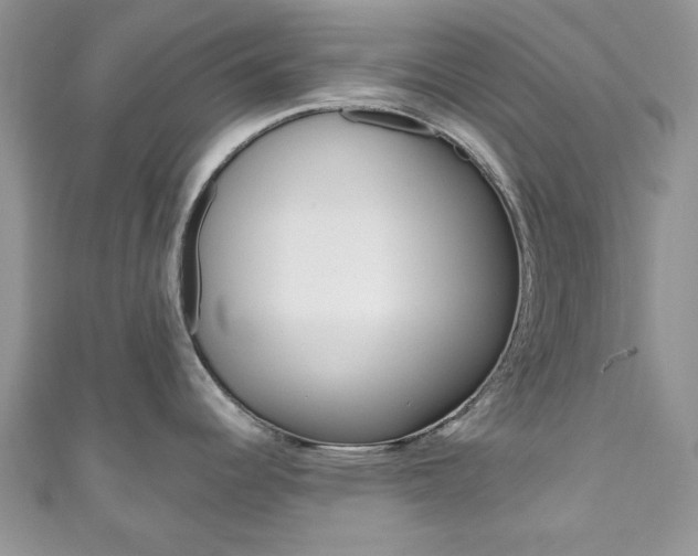 X0000111201344200907011022