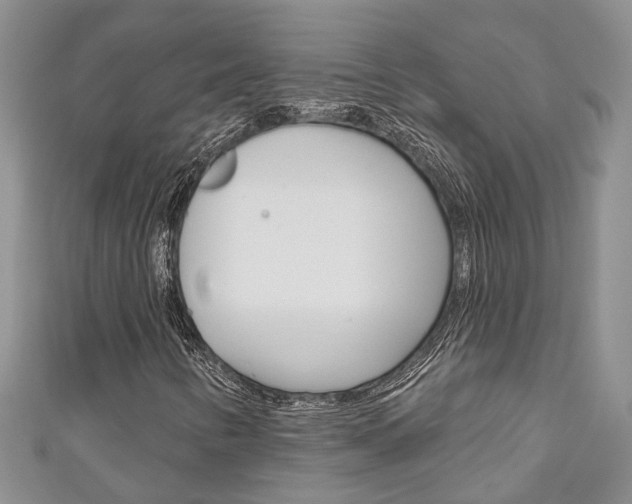 X0000111201346200907011021