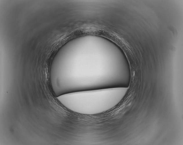 X0000111201348200907011021
