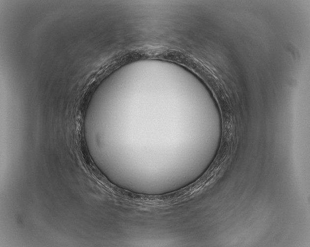 X0000111201349200907011021