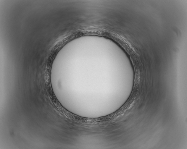 X0000111201350200907011021