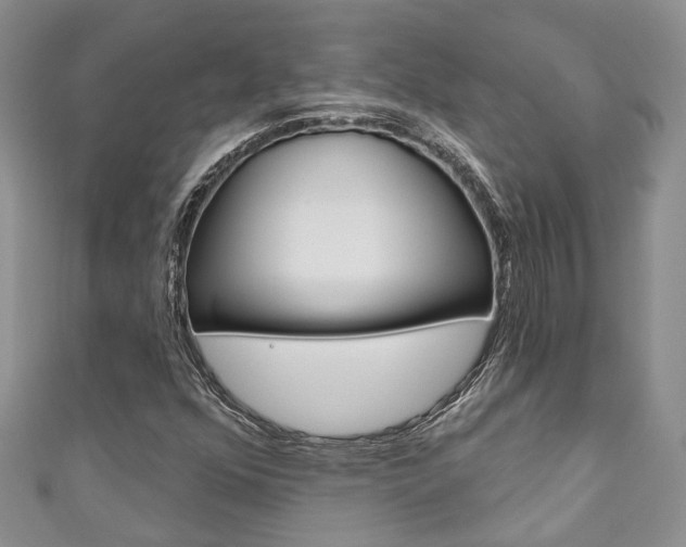 X0000111201352200907011021