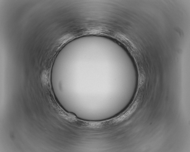 X0000111201353200907011021
