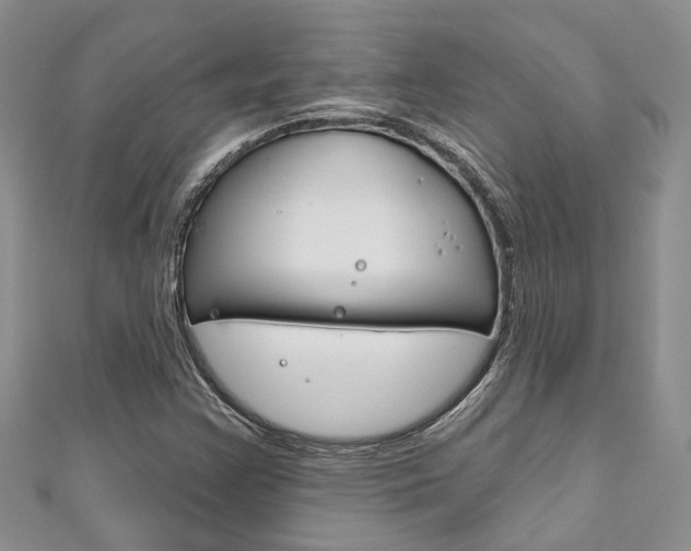 X0000111201355200907011021