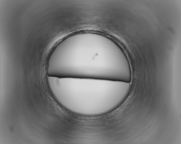 X0000111201359200907011021