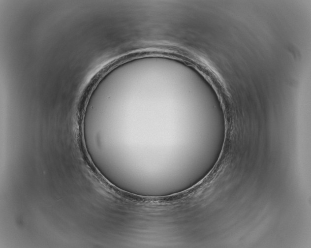 X0000111201360200907011021