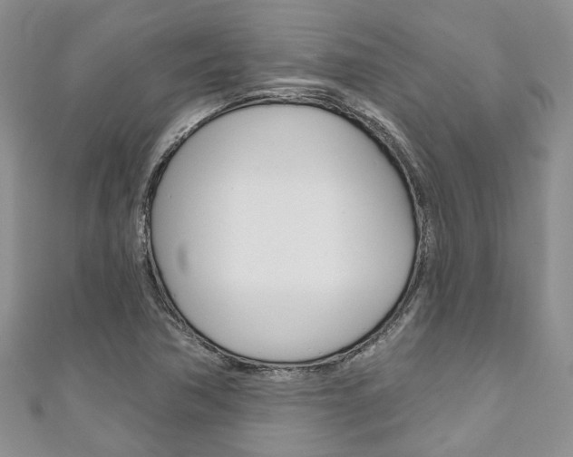 X0000111201362200907011021
