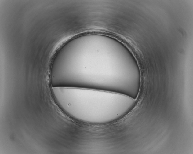 X0000111201363200907011021