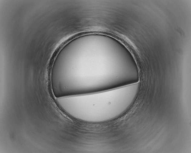 X0000111201364200907011021