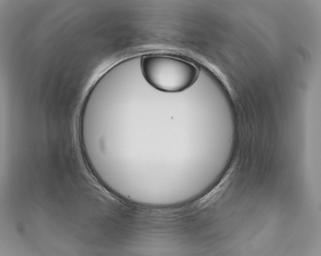 X0000111201365200907011021