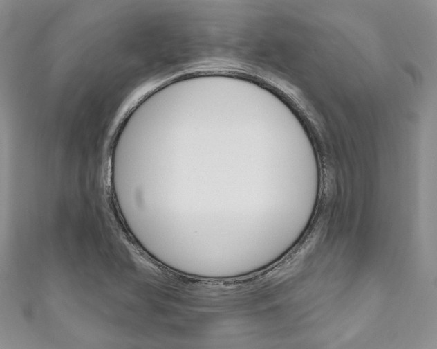 X0000111201366200907011021