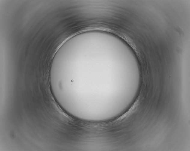 X0000111201369200907011021