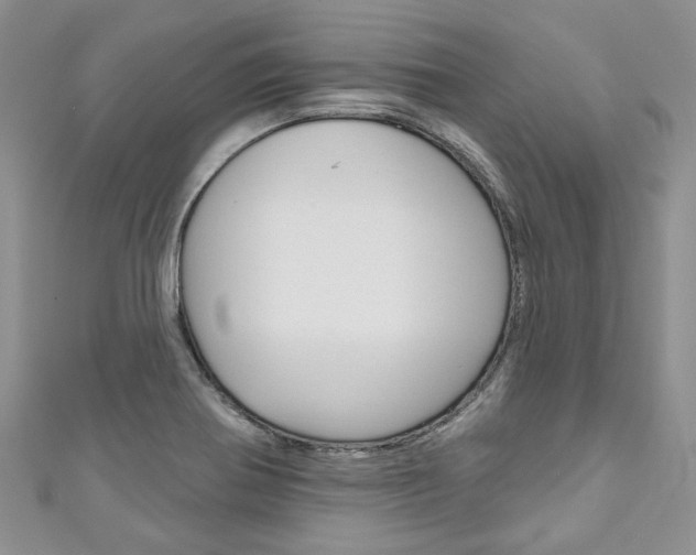 X0000111201370200907011021