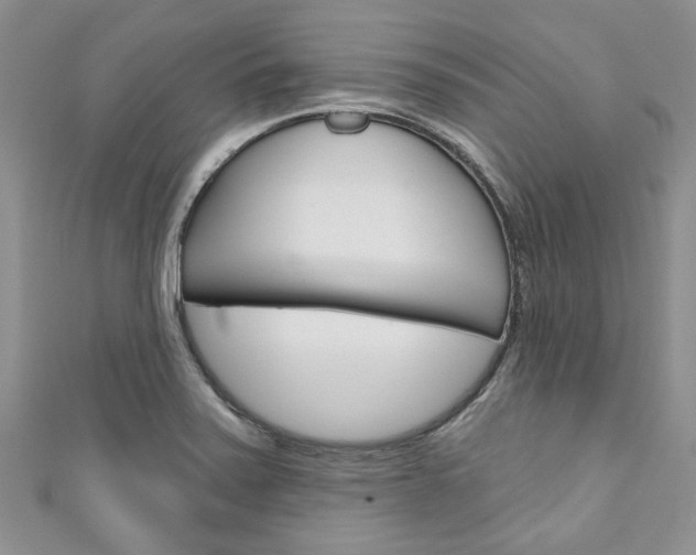 X0000111201371200907011021