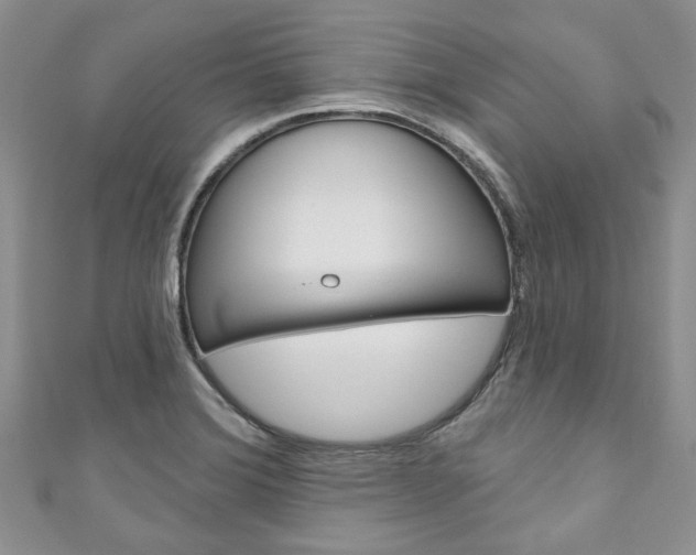 X0000111201372200907011021