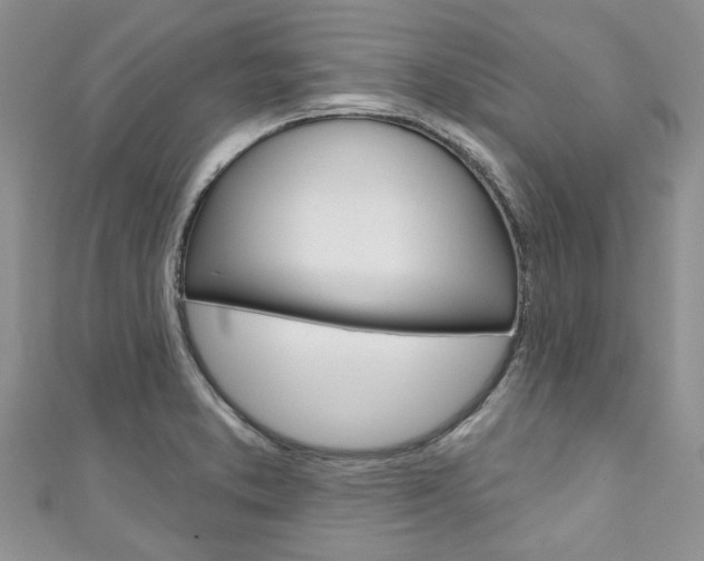 X0000111201373200907011021