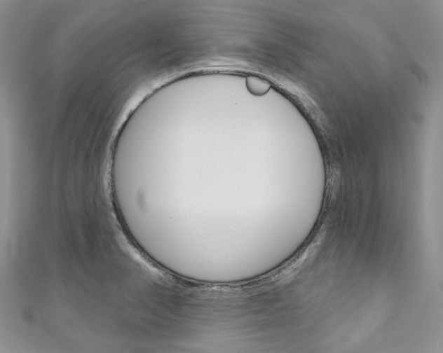 X0000111201374200907011021