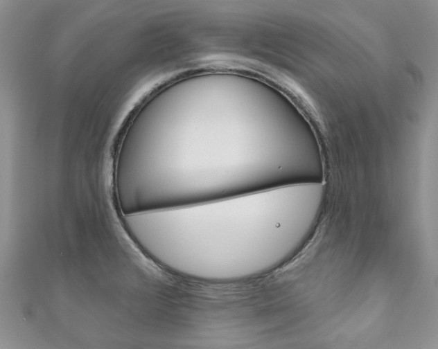 X0000111201376200907011021
