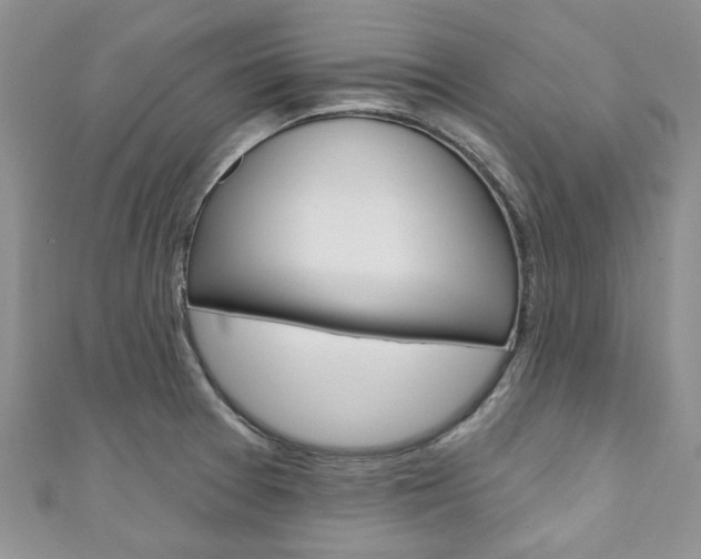 X0000111201377200907011021