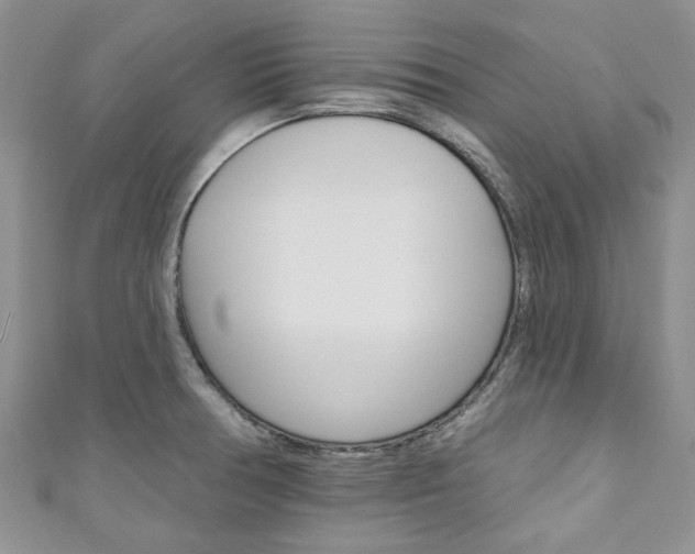X0000111201378200907011021