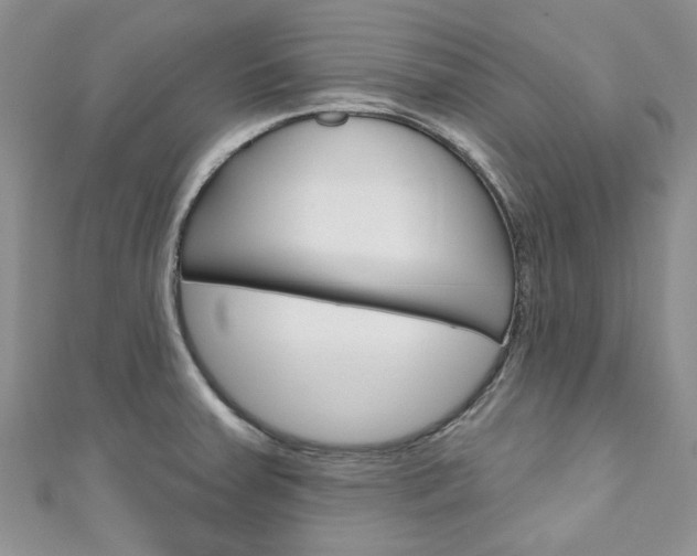 X0000111201379200907011021