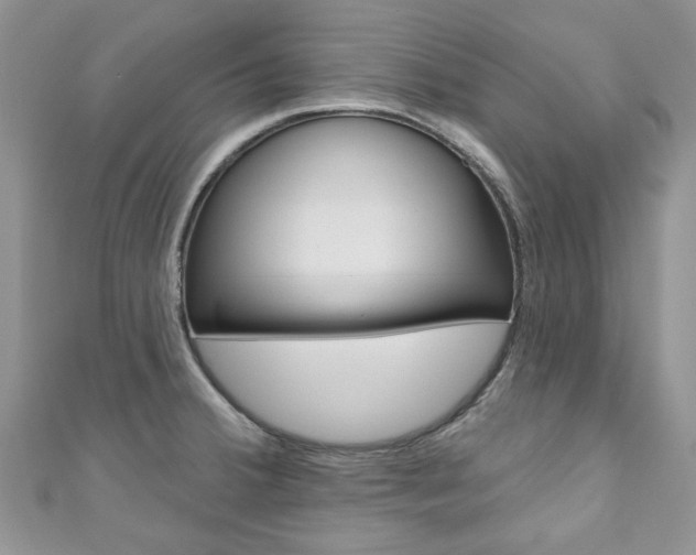 X0000111201380200907011021