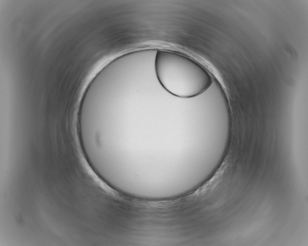 X0000111201381200907011021