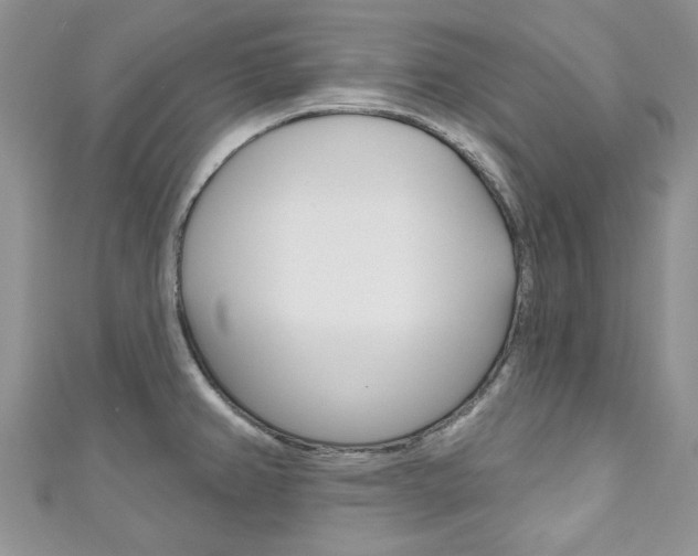 X0000111201382200907011021