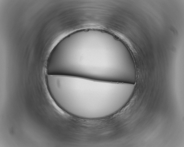 X0000111201383200907011021