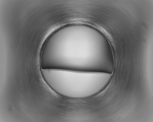 X0000111201384200907011021