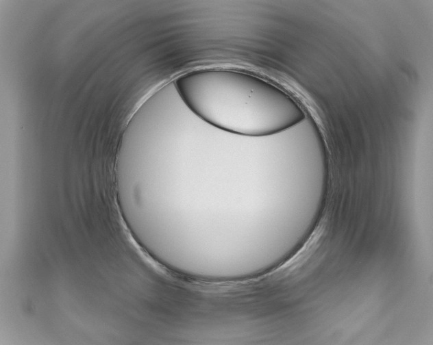 X0000111201385200907011021