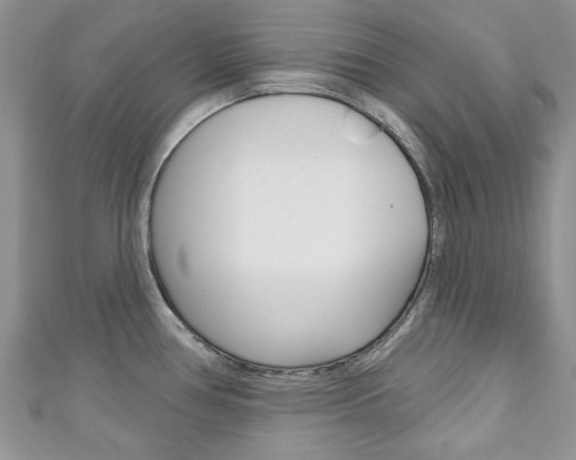 X0000111201386200907011021