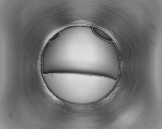 X0000111201387200907011021