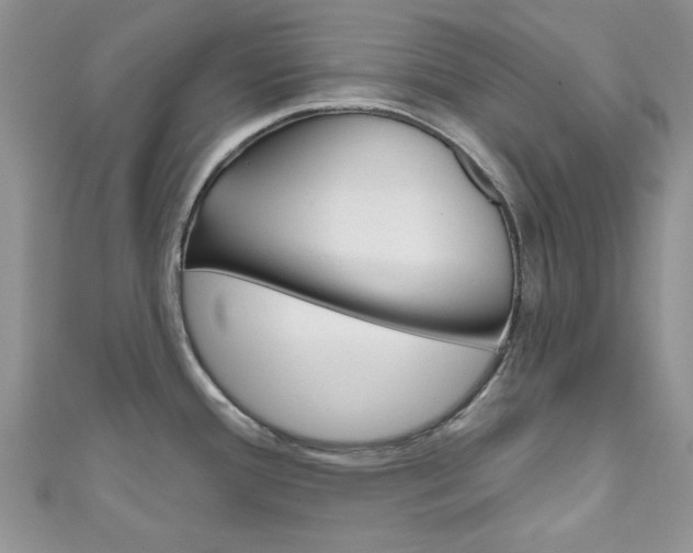 X0000111201388200907011021