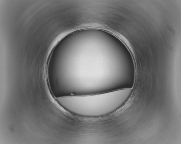 X0000111201389200907011021