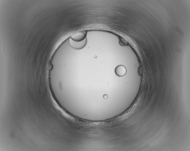 X0000111201390200907011020