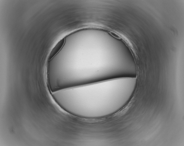X0000111201391200907011020
