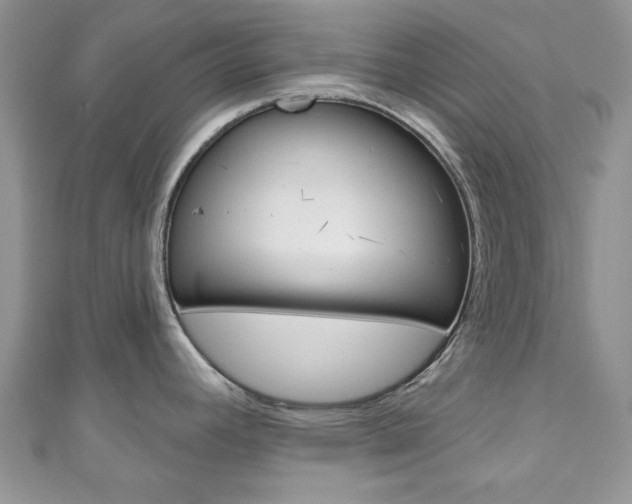 X0000111201392200907011020