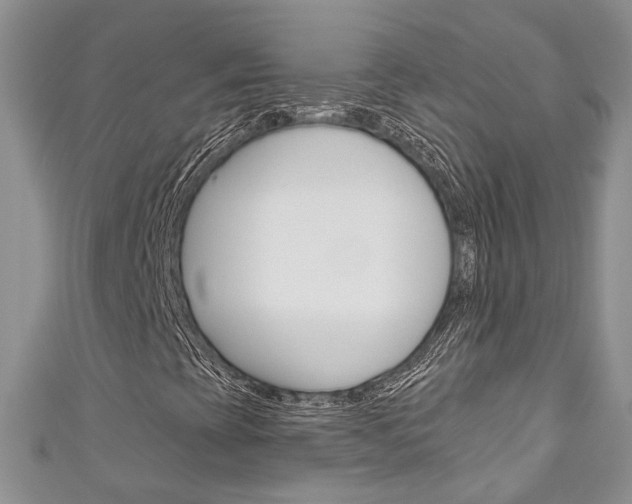X0000111201393200907011020