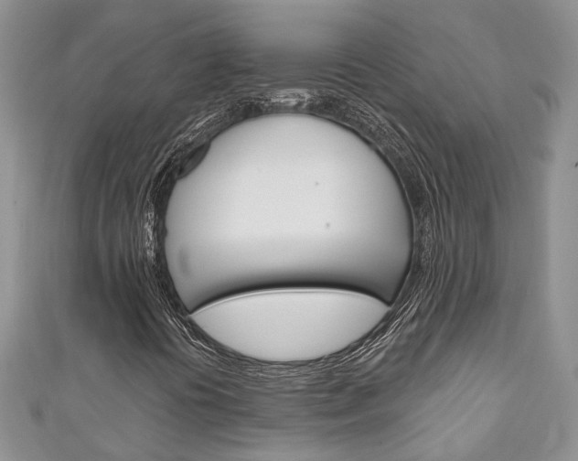X0000111201394200907011020