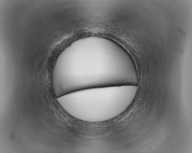 X0000111201398200907011020