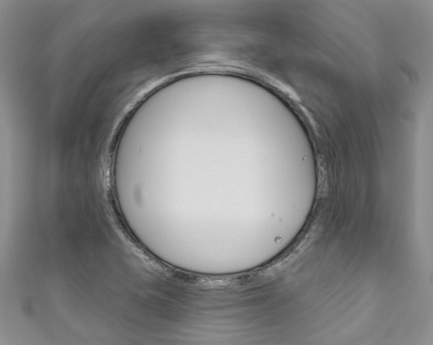 X0000111201415200907011020